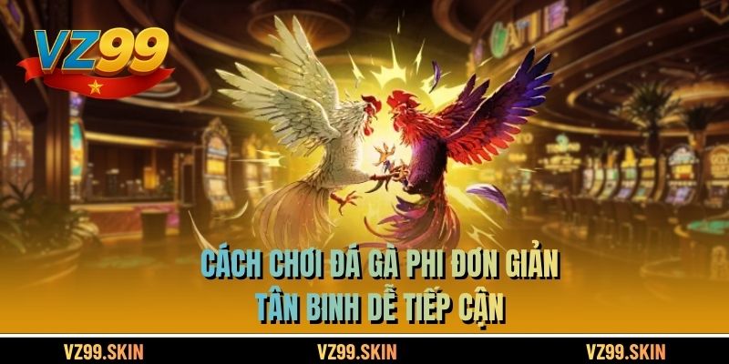 Cách chơi đá gà Phi đơn giản, tân binh dễ tiếp cận