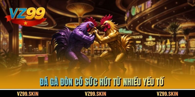 Đá gà đòn có sức hút từ nhiều yếu tố