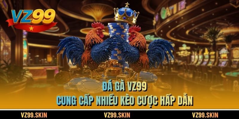 Đá Gà VZ99 cung cấp nhiều kèo cược hấp dẫn