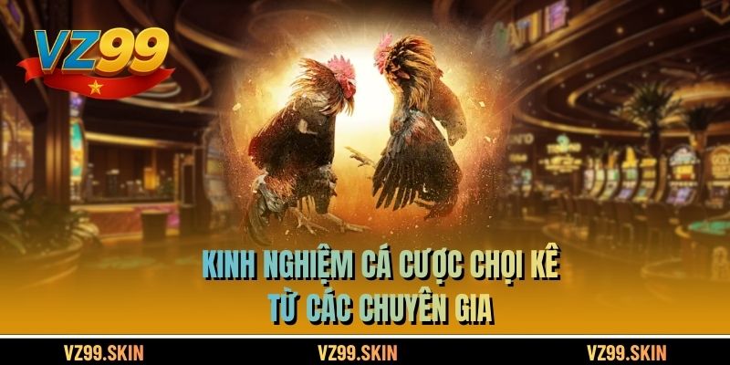 Kinh nghiệm cá cược chọi kê từ các chuyên gia